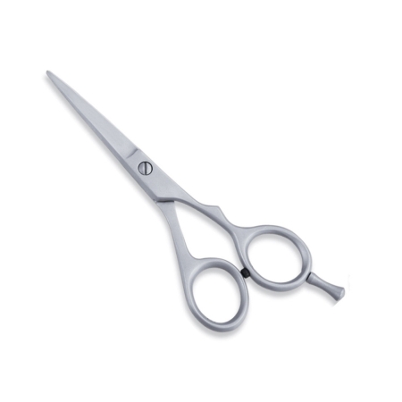 Economy Hair Scissors
